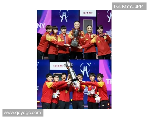 成都乒乓球队在全国团队协作排行榜中荣获第九名的佳绩引发关注