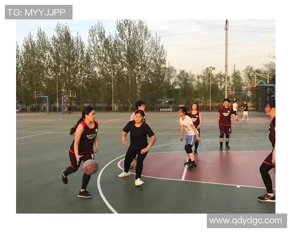 深圳排球队奋斗历程的真实记录与感人故事分享